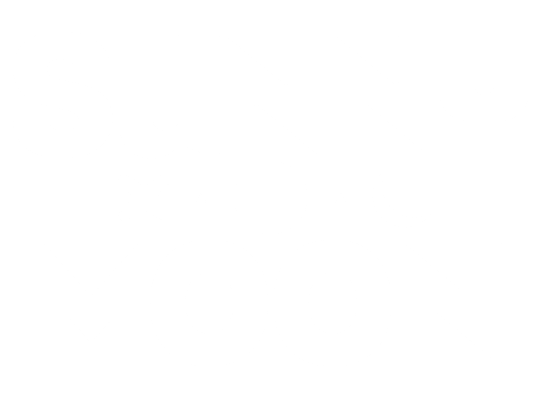 Sunnymoon Project Logo